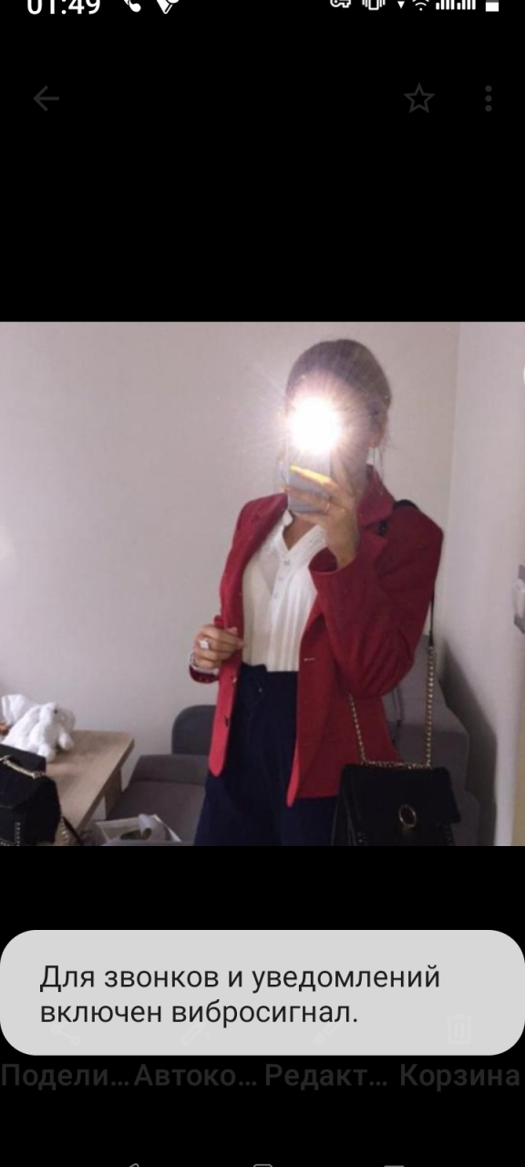 Molly — photo